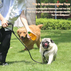 Puppy Chew Toys, Dog Chew Toys for Average Chewer, Tough Dog Dental Chews Toy, Indestructible Toys for Small Dogs, 20-40 Pounds, Small