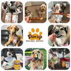 PAWUP Dog Treats Chicken Wrapped Biscuits Pumpkin Sticks, Rawhide Free Soft Chewy w/Taurine, Dog Training Treats,12.5 oz