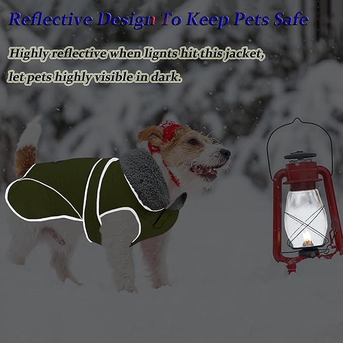 Dogcheer Dog Coat, Waterproof Dog Jacket Reflective Pet Winter Coat with Adjustable Hook & Loop, Christmas Puppy Fleece Jacket Warm Turtleneck Snowsuit for Small Medium Large Dogs - Green, S