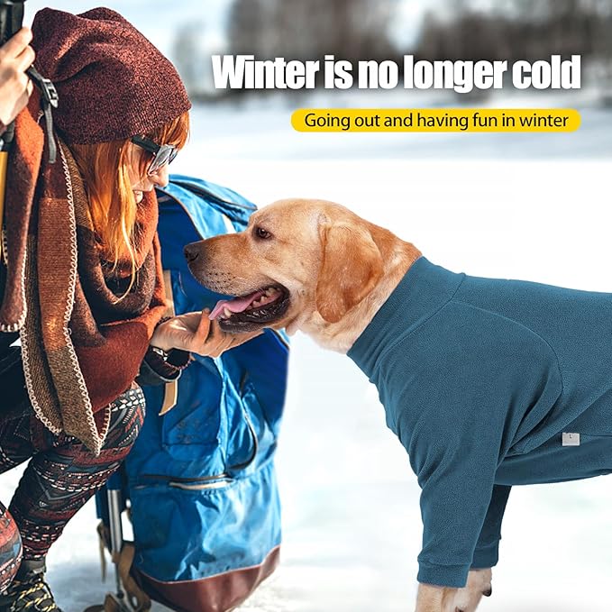 Dog Winter Coat for Small Medium Large Dog Run Walk Sleep Pet Warm Fleece Sweater & Windproof Pajamas Snow Jacket Large Turquoise