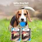 6 Pack 3.5” Squeaky Dog Balls for Large and Medium Dogs, Spiky Balls for Teething Puppies