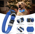 LED Dog Collar, Light Up Dog Collar, USB Rechargeable - Brightest Dog Lights for Night Walking, 6 Light Modes, Adjustable for Dog Safety(Medium, Royal Blue)