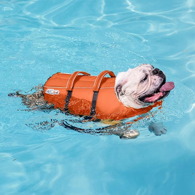 Outward Hound Granby Splash Dog Life Jacket, High-Buoyancy Dog Life Vest for Swimming, Boating, and Water Safety, Large, Orange