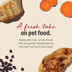 The Honest Kitchen Dehydrated Grain Free Chicken & Fish Cat Food, 4 lb Box