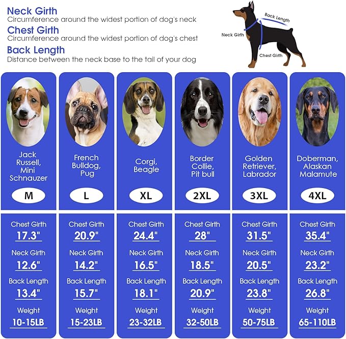 ASENKU Dog Sweater for Medium Dog Girls Boys, Fall Winter Turtleneck Long Sleeve Pet Christmas Sweater, Pullover Sweatshirt for Dachshund, Westie(Grey,Large)