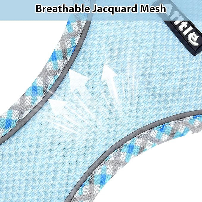 AIITLE XXS Dog Harness & Leash Set - Breathable Reflective No-Choke Small Dog Harness for Teacup Puppies, Indoor/Outdoor Use - Boston Terrier, Maltese, Chihuahua (Blue, XXS)