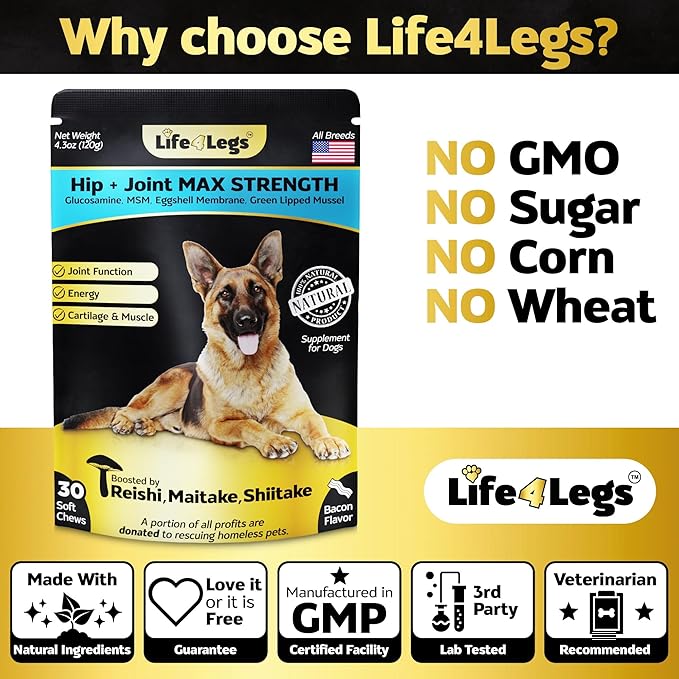 Soft Chews Hip and Joint Supplement for Dogs - Dog Joint Pain Relief Treats - Glucosamine, Chondroitin, Turmeric- Mobility Bites Supplement