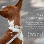NINA WOOF Copenhagen Leather Dog Collar - Handmade with Vegan Soft Leather Round Padded Collar with Adjustable Buckle for Extra Small, Small, Medium, and Large Dogs - Color Beige, Small