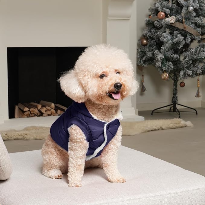 Fleece Lining Extra Warm Dog Hoodie in Winter,Small Dog Jacket Puppy Coats with Hooded,Blue XS