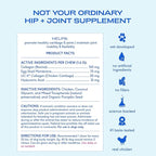 Native Pet Hip & Joint Supplement for Dogs - Advanced Dog Joint & Arthritis Supplement - Helps Maintain Healthy Cartilage, Joint Flexibility, Lubrication, & Function - with ESM & Collagen - 120 Chews