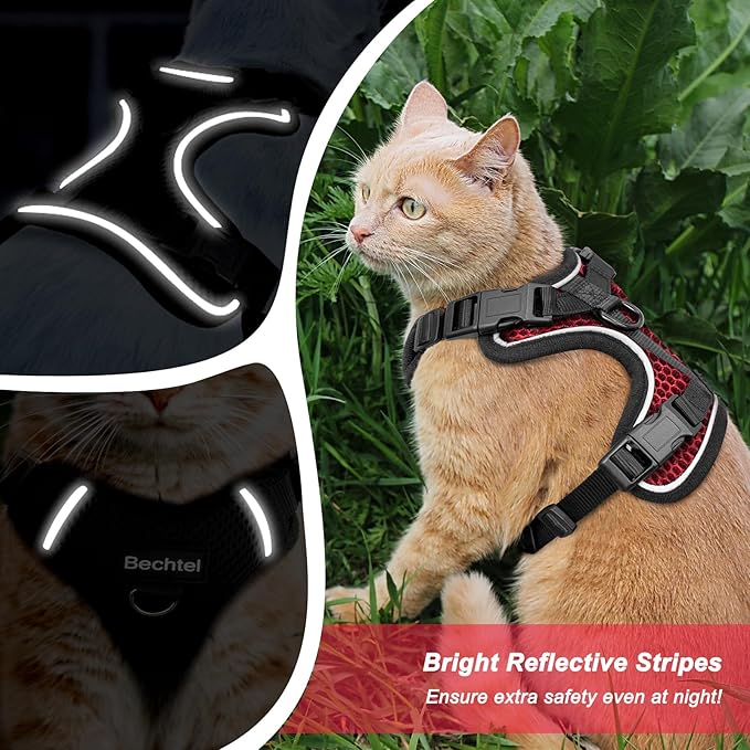 at Harness and Leash for Walking Escape Proof Soft Adjustable Cat Leash Breathable Honeycomb Structure Comfortable Vest Easy to Wear Kitten Harness for Outdoor Travel, Honeycomb Red, M