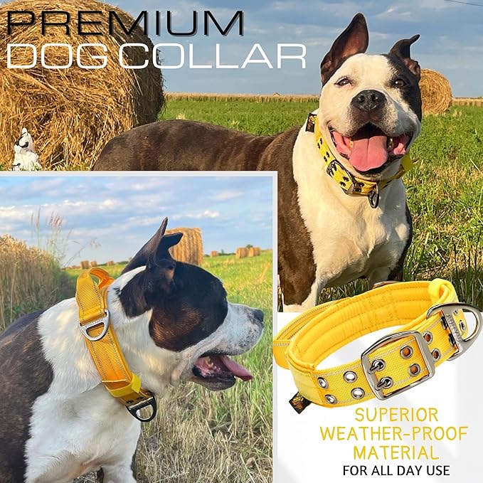 ADITYNA Heavy Duty Dog Collar for Large Dogs - Reflective Yellow Collar with Handle for Training, and Walking - Wide, Thick, Tactical, Soft Neoprene Padded