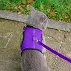 PUPTECK Soft Mesh Cat Vest Harness and Leash Set Puppy Padded Pet Harnesses Escape Proof for Cats Small Dogs, Purple Large