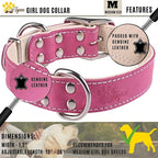 ADITYNA Heavy-Duty Pink Leather Dog Collar for Medium Dogs - Lined with Soft Leather - Girl Dog Collar for Walking, Training, and Hiking