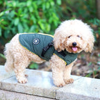 Norbi Dog Coat - Winter Jacket with Built-in Harness, Adjustable for Small to Large Dogs, Warm for Cold Weather