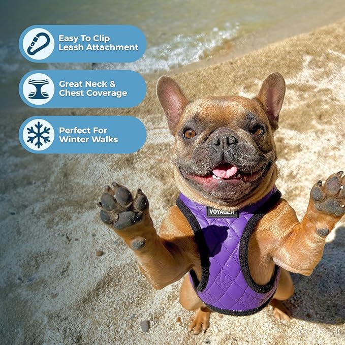 Best Pet Supplies - All Weather Mesh / Plush, Reflective, No Pull Harness for Small, Medium Dogs, Cats - Secure with Hook & Loop Fastener, Buckle, Double D-Rings - Purple Faux Leather, XL