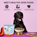 The Pets Table Air Dried Dog Food for Dogs Large, Medium and Small with Sensitive Stomachs | Puppy Dog Food, Adult Dog Food, Senior Dog Food | Lamb & Beef with Brown Rice 4.5 lbs / 72 oz Bag