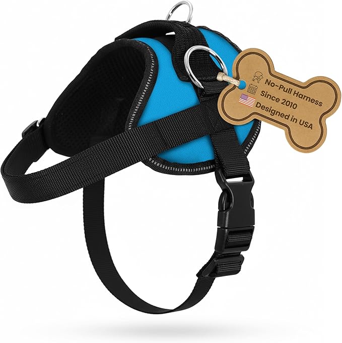 Bark Appeal Aqua Blue No-Pull Dog Harness for Extra Small Sized Pets – Adjustable, Reflective Vest with 3 Leash Clips for Added Control, Easy Walks & Training – XS