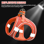 GAMUDA Small Pet Harness Collar and Leash Set, Step in No Chock No Pull Linen Fabric Soft Mesh Dog Vest Harnesses Reflective for Dogs Puppy Cats Kitten Rabbit (Orange, M)