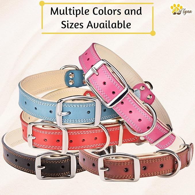 ADITYNA Heavy-Duty Pink Leather Dog Collar for Medium Dogs - Lined with Soft Leather - Girl Dog Collar for Walking, Training, and Hiking
