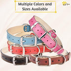 ADITYNA Heavy-Duty Leather Dog Collar for Small Dogs - Soft Padded for Comfort - Blue Dog Collar for Walking, Training, and Hiking