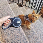 Travel Cat Retractable Expandable Leash - Black 10 Ft Long Strong Tape, Release/Lock Button and Anti-Slip Handle for Small to Large Cats - Light Pet Leash for Walking, Training
