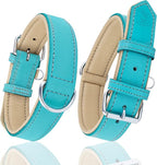 Riparo Adjustable Leather Dog Collar - Heavy Duty Wide Dog Collar for Small, Medium, Large and Extra Large Dogs with Dog Tag Holder (L: 1.5" Wide for 17"-21" Neck, Aqua)