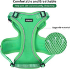 Rttochfy Cat Harness and Leash Set, Adjustable and Reflective Cat Vest, Escape Proof Kitten Harness, Easy to Put on with 3 Buckles for Cats Walking and Traveling (Light Green, L)