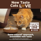 Wellness CORE+ Adult Dry Cat Food for Indoor Cats, Grain-Free, Natural, Salmon and Herring Meal (5 Pound Bag)