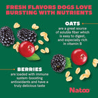 NATOO Biscuits for Small Dogs & Puppies Crunchy Dog Treats, Oats & Berry Healthy Natural Canine Biscuits, Rich in Omega 6, Prebiotics & Fiber, Antioxidants for Immunity (8 oz)