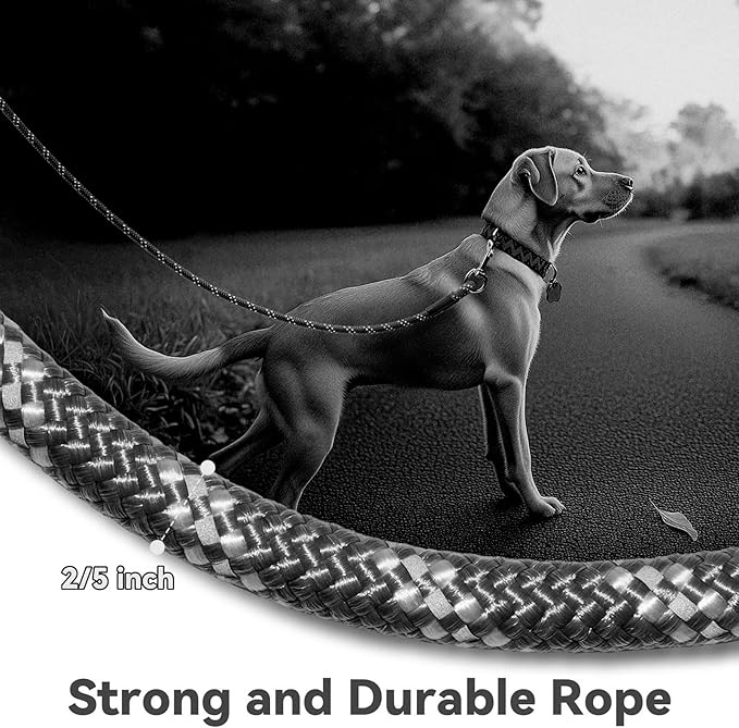 Nylon Dog Leash 6FT 10FT 20FT 30FT Diameter 2/5 Inch with Comfortable Silicone Handle Highly Reflective No Tangle for Medium Large Dogs Outside Walking Camping Backyard. (Black, 30FT * 2/5Inches)