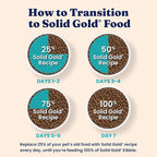 Solid Gold Sensitive Stomach Dry Cat Food - Grain Free & Gluten Free Sensitive Stomach Cat Food for Indoor Adult & Senior Cats - Dry Kibble for Cats w/Quail, Pumpkin & Probiotics for Gut Health - 3lb