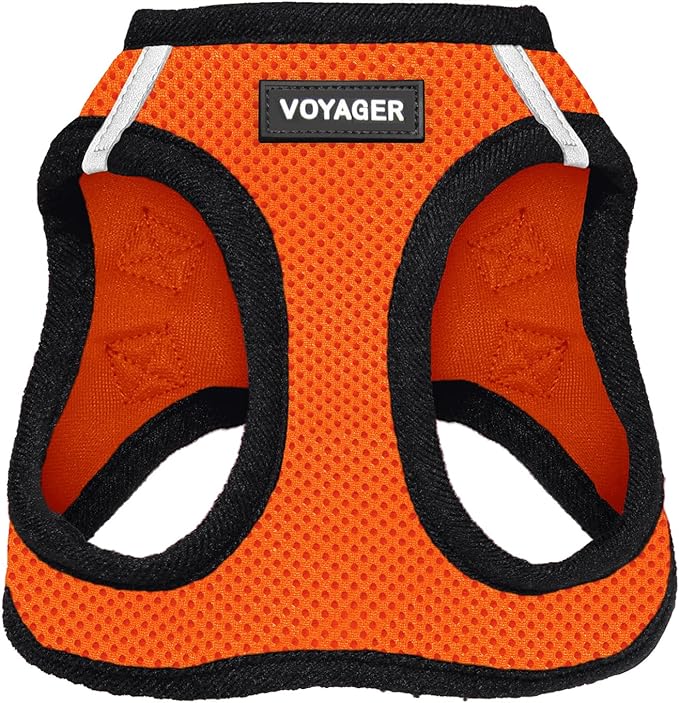 Best Pet Supplies Voyager Step-in Air Harness - All Weather Mesh, Reflective, No Pull Harness for Dogs, Cats - Secure with Hook & Loop Fastener, Buckle, Double D-Rings - Orange/Black Trim, S