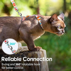 Dooradar Cat Harness and Leash, Escape Proof Adjustable Kitten Vest, Lightweight Soft Pet Straps, Easy Wearing for Small Medium Kitty Safe Walking Travel Control, Rainbow, S