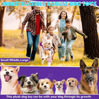 Crinkle Dog Toys Squeaky Plush No Stuffing Cute Puppy Stuffless Tough Rop Pull Toy, Fun Dog Stuffed Animals Durable Chew Set for Small Medium Large Pup (Large, Snake)