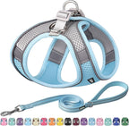 AIITLE Step in Dog Harness and Leash Set - Summer No Pull Escape Proof Vest Harnesses with Soft Mesh and Reflective Bands, Adjustable Pet Outdoor Harnesses for Small and Medium Dogs Blue M