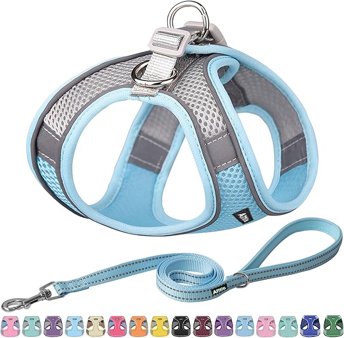 AIITLE Small Dog Harness with Leash, Breathable Mesh Vest, Reflective No-Pull Pet Harness for Outdoor Walking, Camping for Small Dogs, Cats, Blue XXS