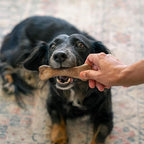 Wholesome Pride Natural & Healthy Dog Chews 2Pk for Small Dogs, Bacon Flavor, Made in The USA