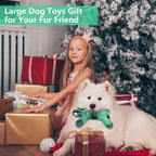 Heavy Duty Nylon Dog Bone Chew Toys - Real Bacon Flavor, Long-Lasting for Aggressive Chewers & Large Breeds