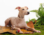 Dog Sweaters for Small Dogs Girls Boys, Striped Pet Sweaters for Fall Winter Dog Clothes, Turtleneck Pullover Knitwear for Small Medium Large Dogs