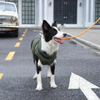 Dog Jacket with Harness,Fleece Lined Warm Puppy Coat for Winter,Soft Windproof Medium Dog Vest,Green XL