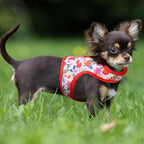 Mile High Life Dog Harness, Air Mesh Floral Vest Harness for 20 lbs Small Dogs & Cats, Easy Get on Adjustable Easy Closures Both Neck and Chest(Red Flower, S Chest 16"-18")