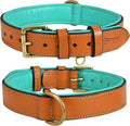 Leather Dog Collar for Medium Dogs, Tan, 1 Inch Wide, Genuine Full Grain Leather, Heavy Duty with Soft Inner Padding, Comfortable and Durable (Medium (Fit Neck Size 14.5"-18.5"), Tan)