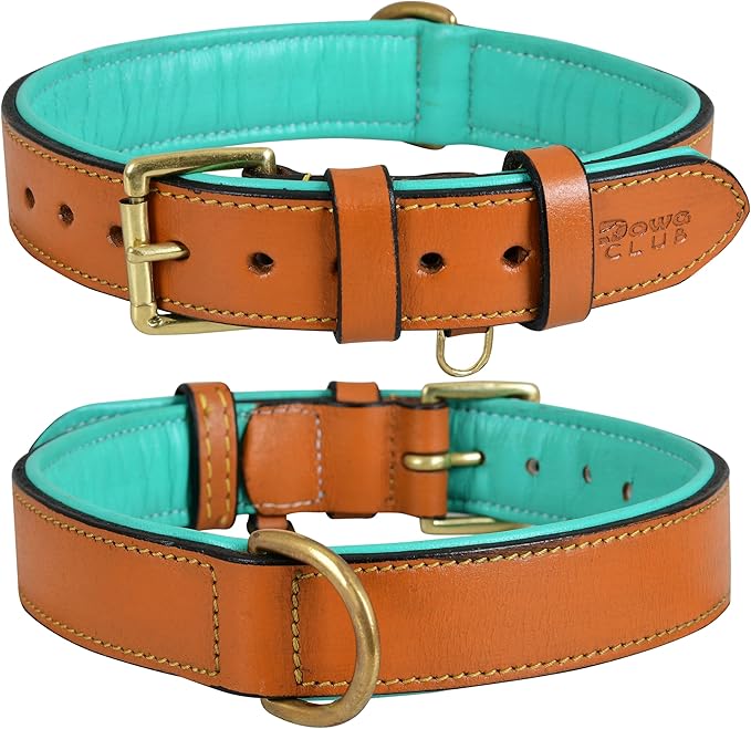 Genuine Leather Dog Collar | Full Grain, Heavy Duty, Comfortable, Padded, Strong | Best for Pups, Small, Medium, Large & XL Breeds (Large (Fit Neck Size 18.5"-22.5"), Tan)