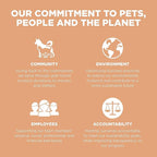 Go! Solutions Digestion + Gut Health, Dry Dog Food, Salmon Recipe with Ancient Grains, 12 lb Bag
