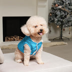 Fleece Lining Extra Warm Dog Hoodie in Winter for Large Dogs Jacket Pet Coats with Hooded,Light Blue XXL