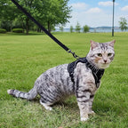 Cat Harness and Leash Set Escape Proof Tactical Medium Kitten Harness Emotional Support Cat Vest, Black, M