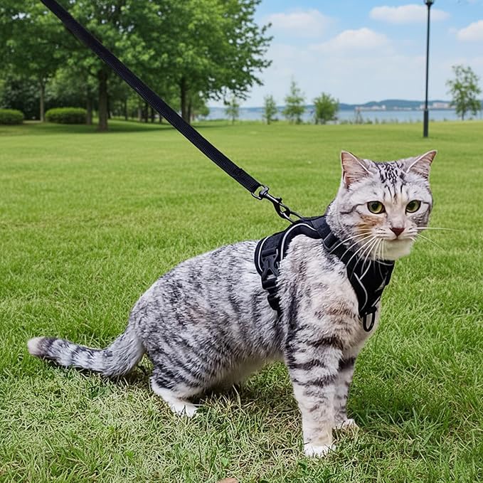 Cat Harness and Leash Set Escape Proof Tactical Extra Large Kitten Harness Emotional Support Cat Vest, Black, XXL