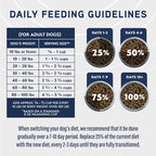 Natural Balance Specialized Nutrition Dry Dog Food Formula with Chicken and Oatmeal for Dogs, Joint Health & Muscle Health Dog Food, Natural Ingredients with Added Vitamins & Minerals - 3.5 lbs