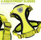 PUPTECK Cat Harness and Leash Set Escape Proof Reflective Cat Walking Harness Adjustable Soft Breathable Mesh Vest for Small Pets, Fluorescent Yellow, M